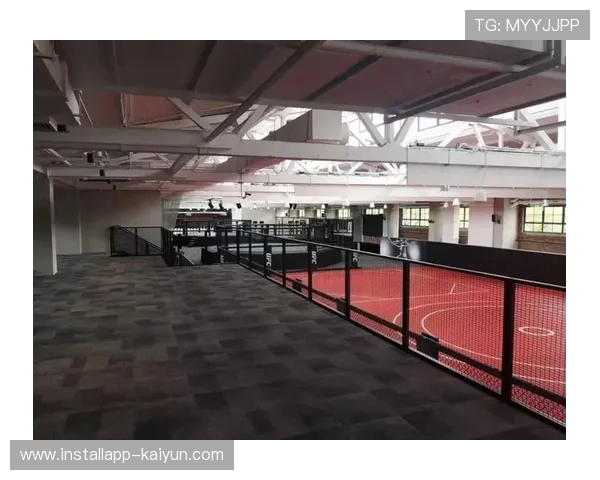 UFC高管张卓麟：推动专业训练体系大众化助力全民健身新发展